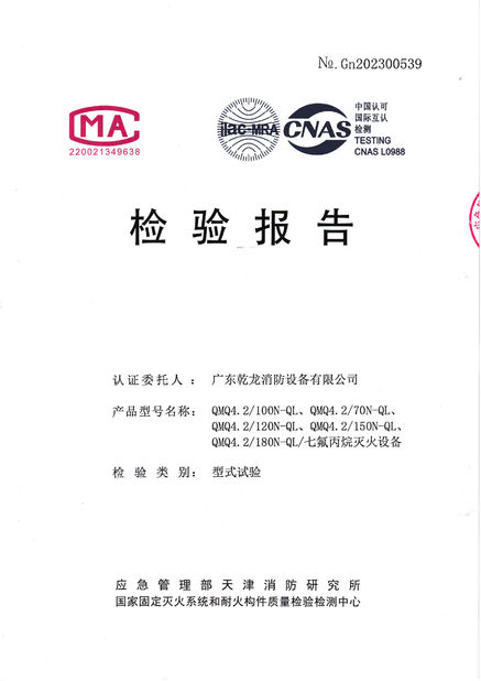 La Cina Guangdong Air Giant Fire Equipment Co.,Ltd. Certificazioni